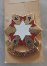 6th US Army Unit Crest "Born of War" pin